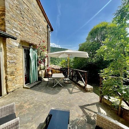 Il Colle - Apartment Gelso San Godenzo Kültér fotó